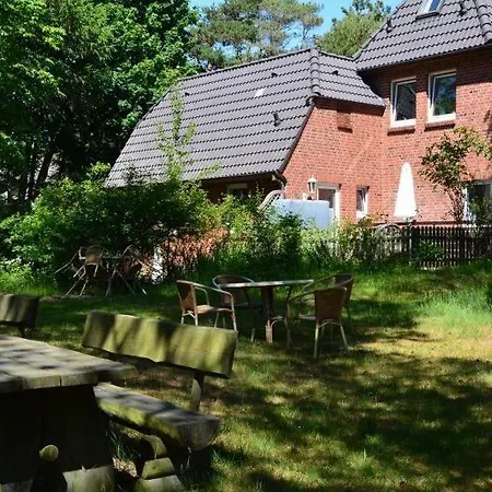 Kegelrobben *